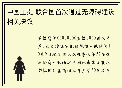 中国主提 联合国首次通过无障碍建设相关决议